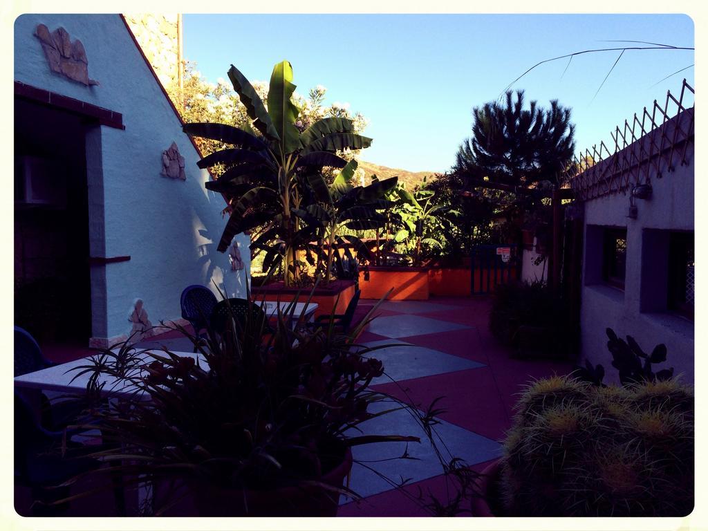 Villa El Minero Bed&Breakfast Gonnesa Exterior foto