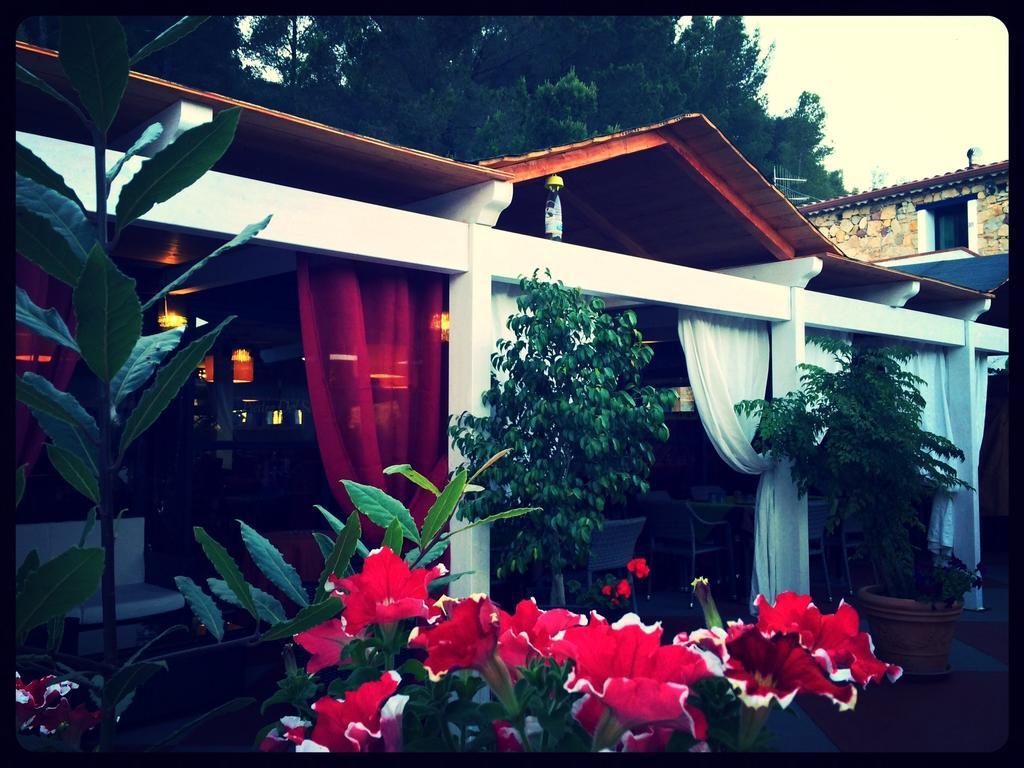 Villa El Minero Bed&Breakfast Gonnesa Exterior foto